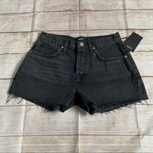 Hudson Lori High-Rise Short Tainted Love Size 25